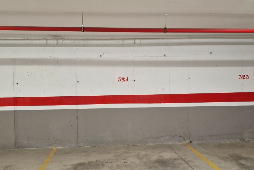 20250204_105352